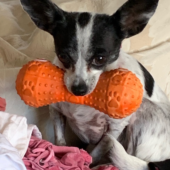 Meet your Posher, Krymylda - Picture 3 of 5